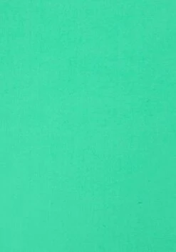 Buffalo Bikinis à Armatures Push-up Bikini Femme Menthe -Lumiere de Bikini Boutique 0952371ccdfd95f51aa3257e8fa05eb7