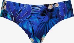 Bas De Bikinis Bas De Bikini Oasis Femme Bleu