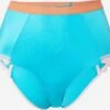DORA LARSEN Bas De Bikinis Bas De Bikini Sienna Femme Bleu