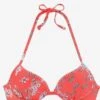 Sunseeker Hauts De Bikinis Push-up Push-up Hauts De Bikini Ditsy Femme Rouge Orangé -Lumiere de Bikini Boutique 7b7f39b3390ebeec17ca3a96f6091c48