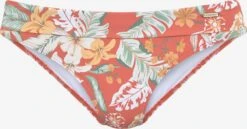 Sunseeker Bas De Bikinis Bas De Bikini Femme Orange Clair / Orange Foncé