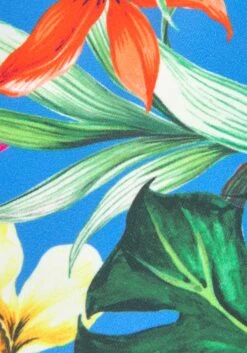 VENICE BEACH Hauts De Bikinis Triangles Triangle Hauts De Bikini Femme Bleu -Lumiere de Bikini Boutique 8d181009940baf08faaa423e4596fc28