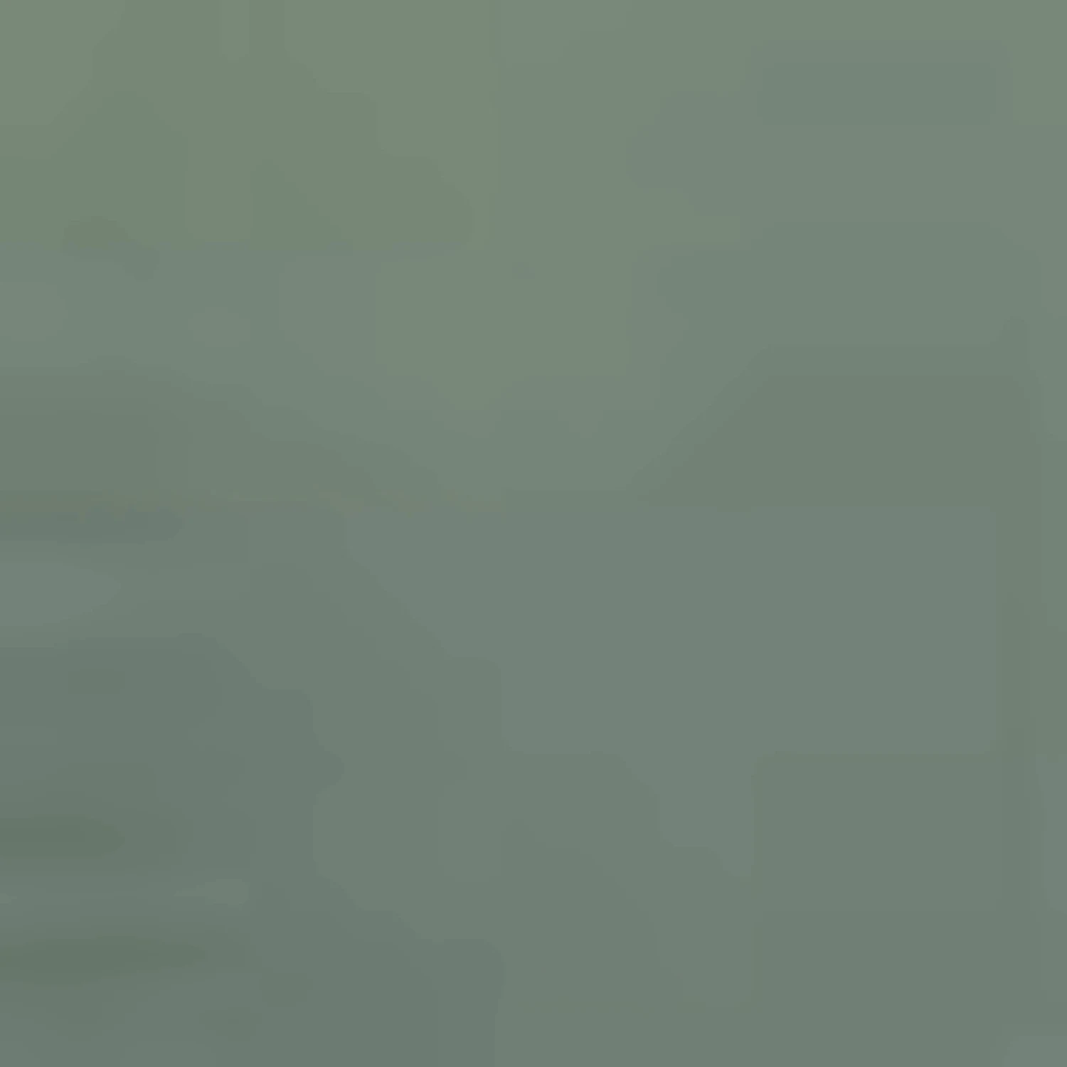 Bikinis à Armatures Balconnet Bikini Femme Olive 5 Bikinis à Armatures Balconnet Bikini Femme Olive – Image 3