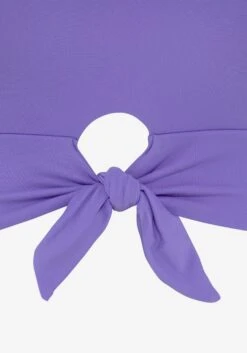 VENICE BEACH Hauts De Bikinis Col Montant Hauts De Bikini Femme Violet Clair -Lumiere de Bikini Boutique 95318b23aea6559706b0e86108aafc2f