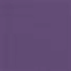 Bikinis à Armatures Bandeau Bikini Femme Violet Foncé -Lumiere de Bikini Boutique bf1b97a8c378d844bafec5d8f13d4f39