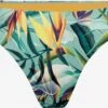 Bas De Bikinis Bas De Bikini Fresh Tropics Femme émeraude / Jade -Lumiere de Bikini Boutique c6c3b62cdef3c56e66769b9b4d468df7