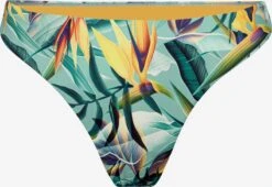Bas De Bikinis Bas De Bikini Fresh Tropics Femme émeraude / Jade