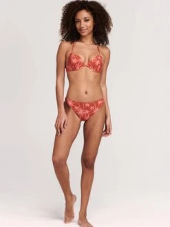 Shiwi Bikinis à Armatures Push-up Bikini LUCA Femme Marron Châtaigne / Noisette -Lumiere de Bikini Boutique d262bba5686e545a7aad451db02d7cc9